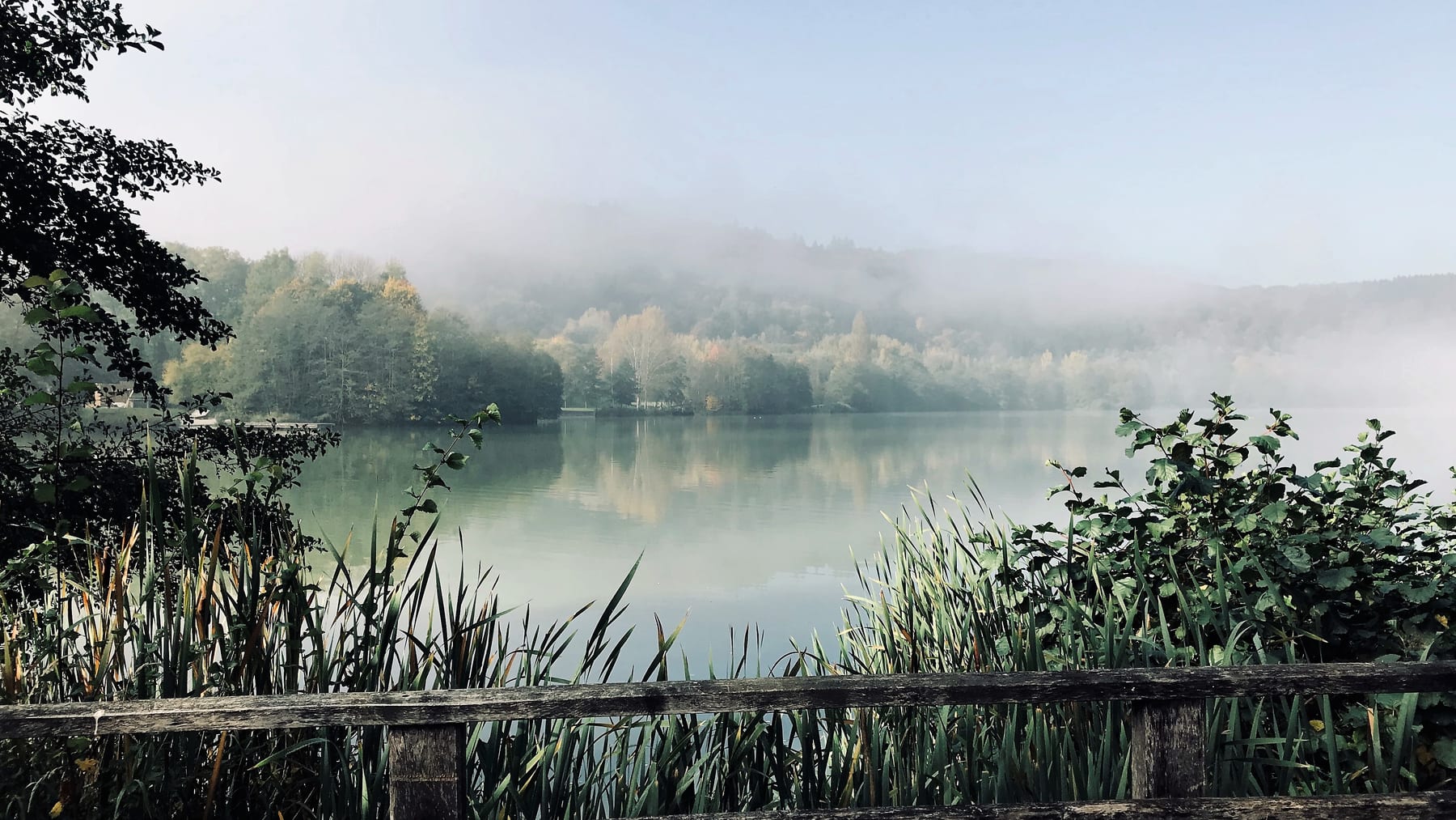 Morning mist above a lake, seen beyond reeds and a wooden fence