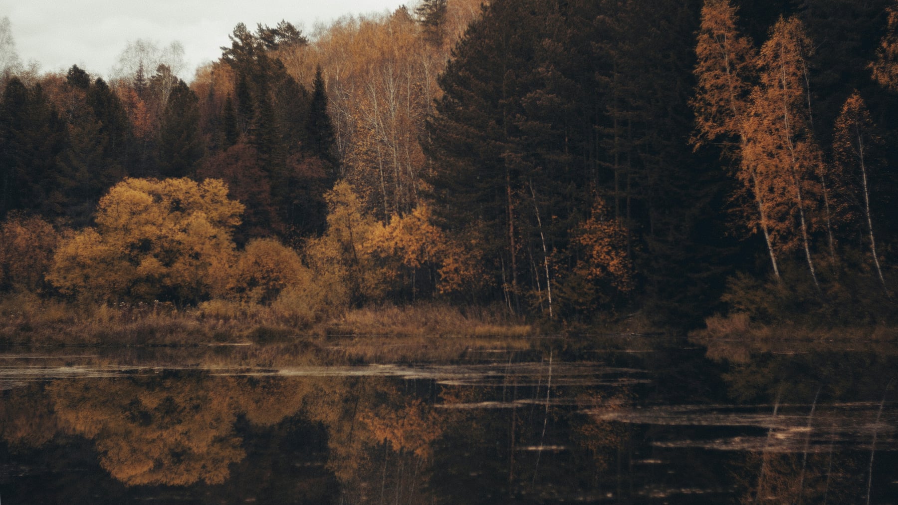 Autumn woodland reflected in a quiet lake